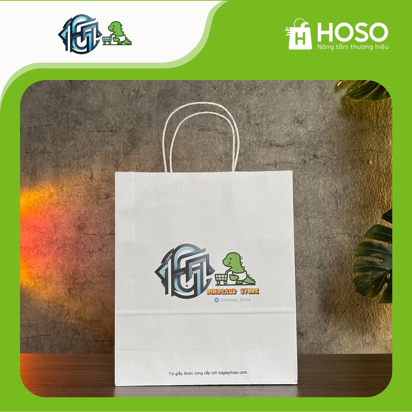 HOSO - Giải pháp bao bì túi giấy kraft toàn diện 20 Cá sấu